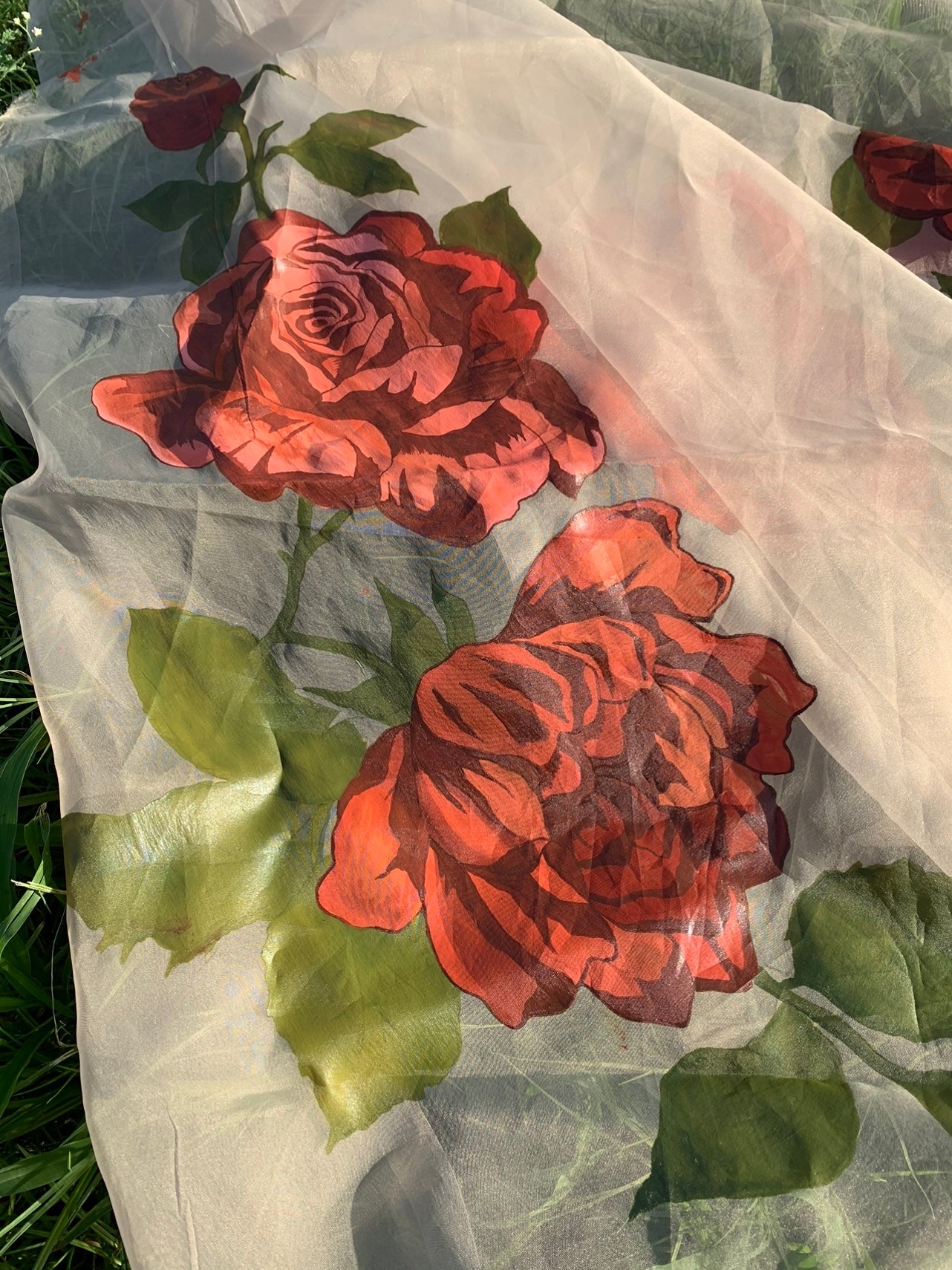 JKD-40 Hand painted roses organza duppata
