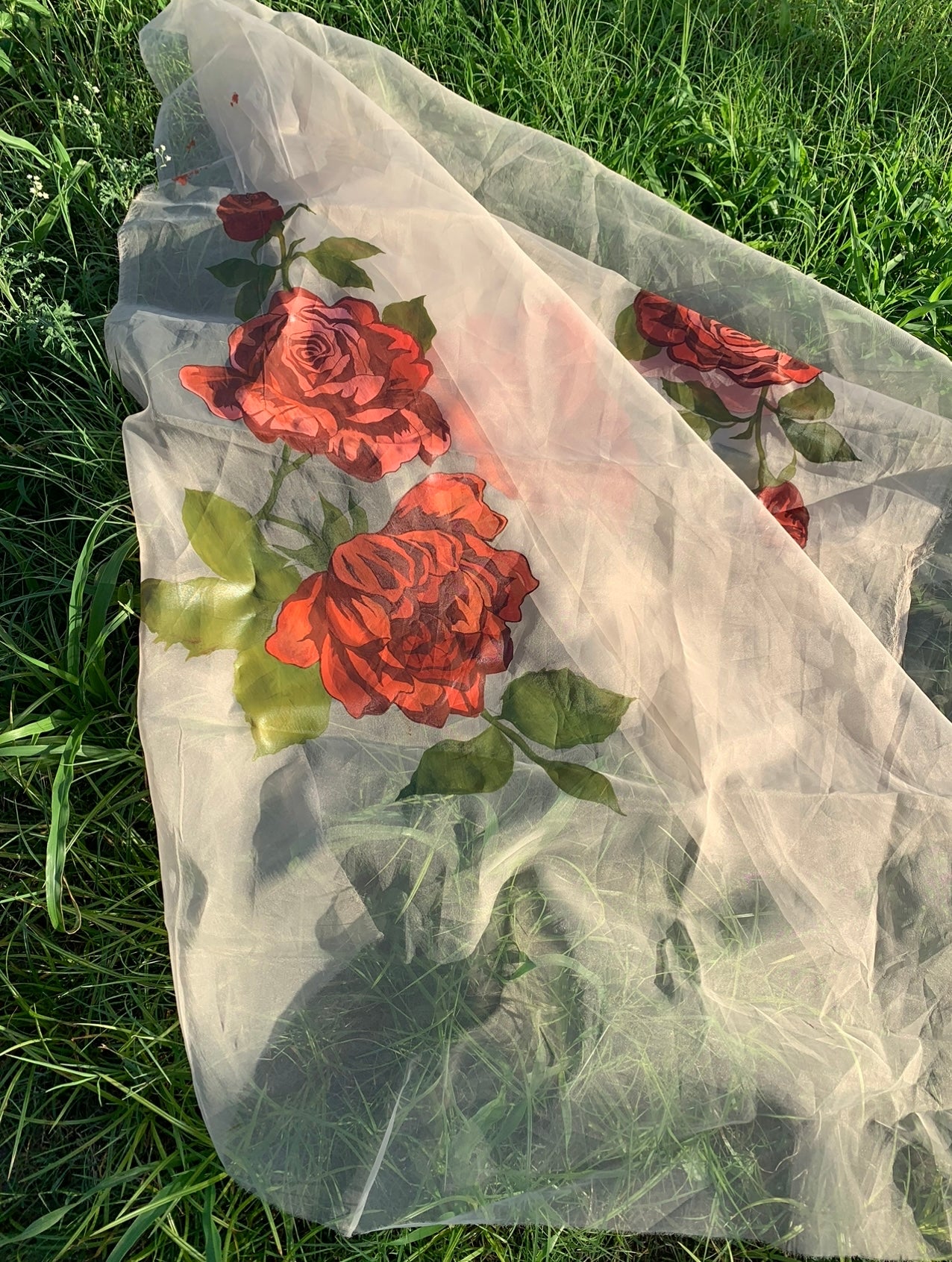 JKD-40 Hand painted roses organza duppata