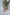 Mint green floral Mareena kameez with flared shalwar