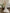 VT-186 Elegant White & Gold Embroidered Tila Shawl