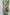 Mint green floral Mareena kameez with flared shalwar