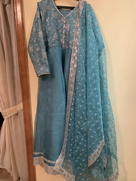 Pure organza Maxi with pure sequence duppata