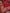JKD-39 Organza gold block printed duppata