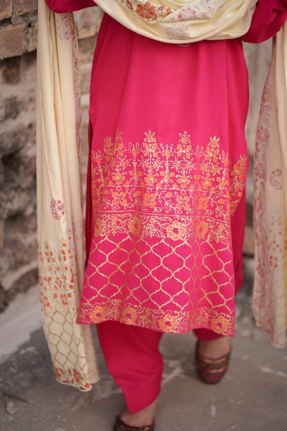 Hot pink punjabi suits best sale