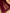 VT-50 Four sided Mugalian Block printed Shawl