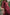 ED-06 – Embroidered Maroon Cotton Net Embroidered 3PC Suit