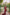 ED-06 – Embroidered Maroon Cotton Net Embroidered 3PC Suit
