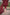 ED-06 – Embroidered Maroon Cotton Net Embroidered 3PC Suit