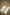 ED-09 Mint Green Embroidered 3PC