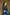 SD-09 Navy Blue separate with printed Jacket